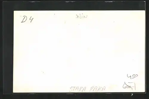 AK Stara Paka, Upominka na XII. Sibrinky Sokola ve Stare Pace 1938, Raz: V risi kvetin