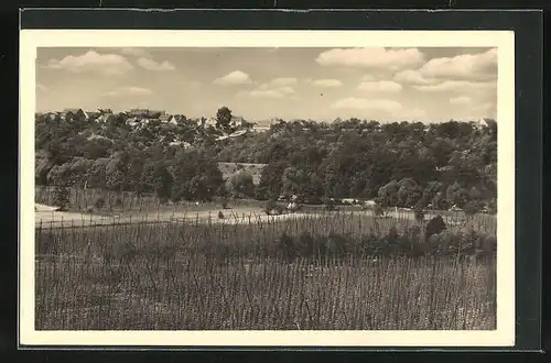 AK Velichov u Zatce, Plantage mit Blick zur Stadt