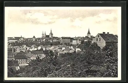 AK Zatec, Panorama