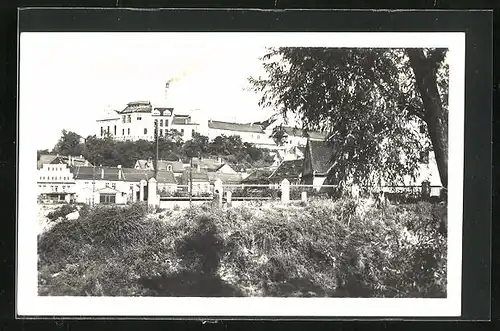 AK Zatec, Panorama