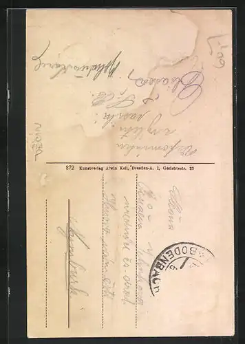 AK Bodenbach a. Elbe, Teilansicht mit Bergschloss Schäferwand