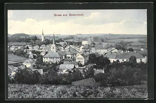 AK Bodenstadt, Totalansicht der Ortschaft