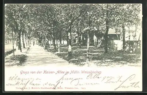 AK Mähr.-Weisskirchen, Kaiser-Allee mit Spaziergängern