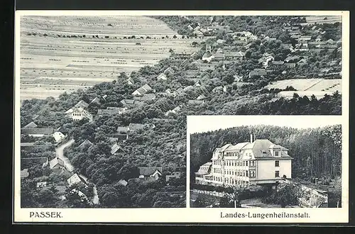 AK Passek, Landes-Lungenheilanstalt, Ortsansicht aus der Vogelschau