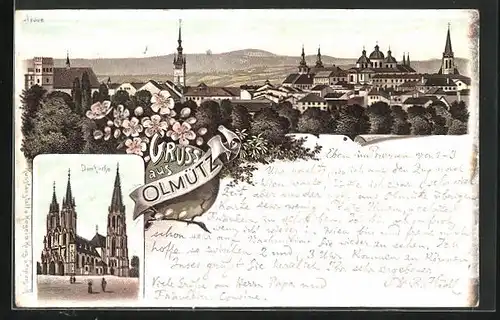 Lithographie Olmütz, Domkirche, Totalansicht mit Kirchtürmen