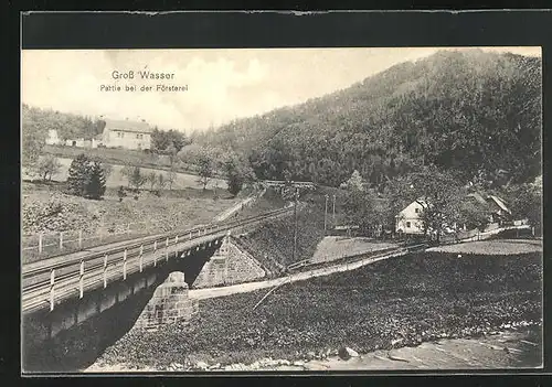 AK Gross Wasser, Partie bei der Försterei