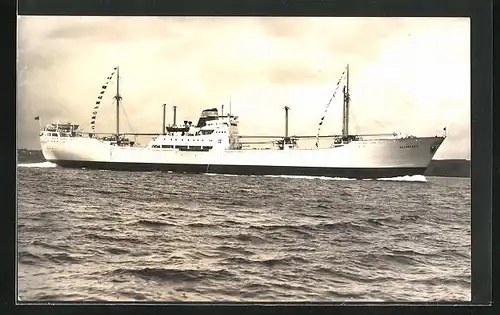 AK Handelsschiff M. S. Allobrogia vor der Küste