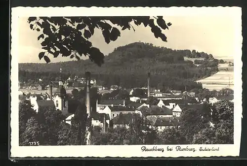 AK Rumburg / Rumburk, Teilansicht der Stadt mit Rauchberg