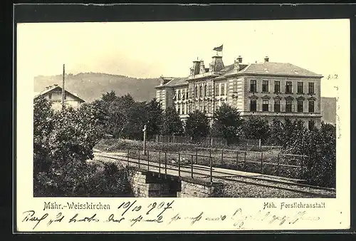 AK Mähr. Weisskirchen, Höh. Forstlehranstalt