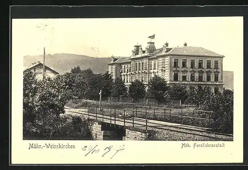 AK Mähr. Weisskirchen, Höh. Forstlehranstalt