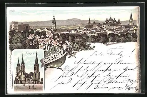 AK Olmütz /Olomouc, Domkirche, Panorama