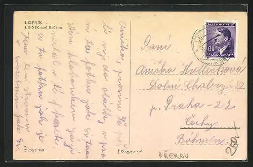 AK Leipnik, Strassenpartie mit Vorschusskasse