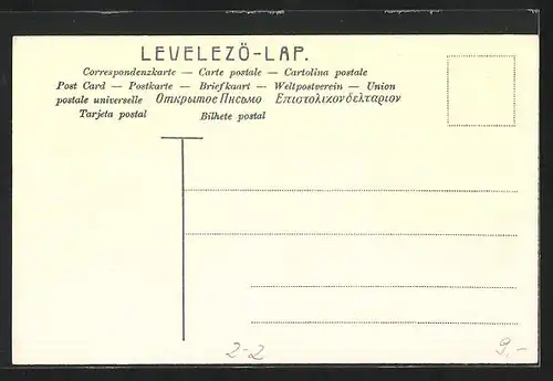 Künstler-AK Magyar, Briefmarken und Wappen, Vögel auf Telegraphenmast