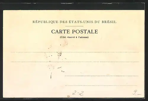 Lithographie Brazil, Briefmarken und Flagge