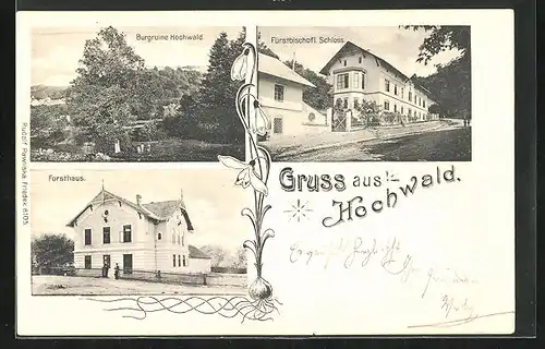 AK Hochwald, Forsthaus, Fürstbischöfl. Schloss, Burgruine