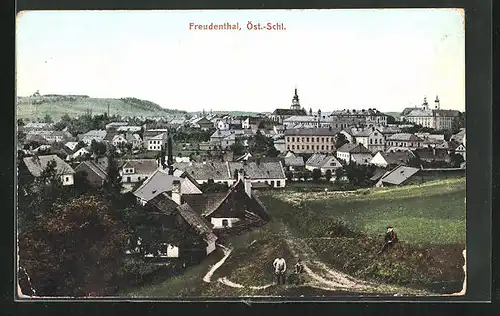 AK Freudenthal, Jungen am Feldweg, Blick zum Ort