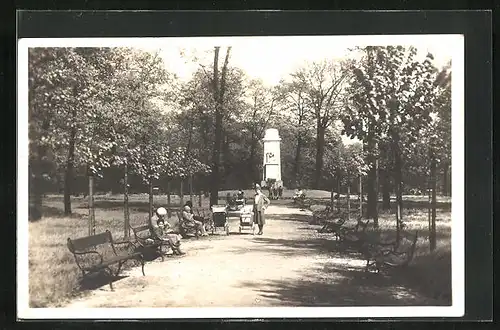 AK Neu Oderberg, Blick auf den Stadtpark