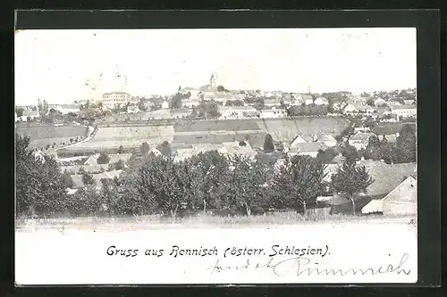 AK Bennisch, Ortsansicht mit Feldern