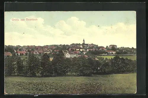 AK Bennisch, Ortsansicht mit Wiese