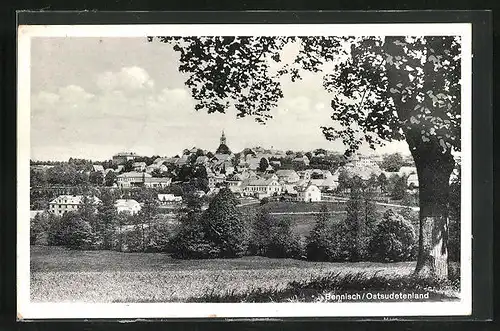 AK Bennisch, Teilansicht des Ortes mit Wiese