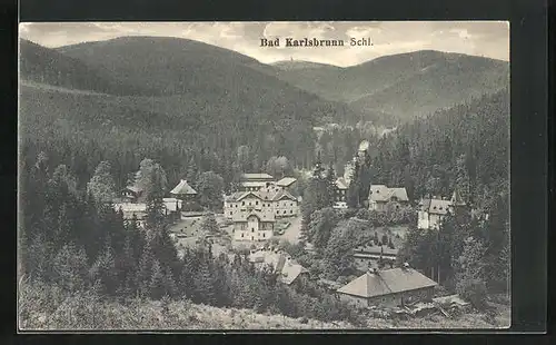 AK Bad Karlsbrunn /Schl., Panorama