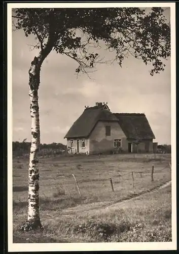 Fotografie Albin Müller, Hamburg, Haus mit Reetdach im Marschland bei Hamburg