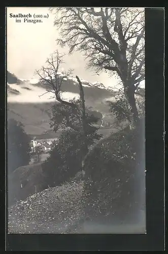 AK Saalbach, Dorf vom Berg aus