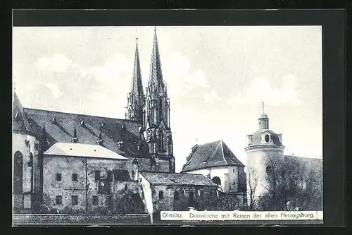 AK Olmütz, Domkirche mit Resten der alten Herzogenburg