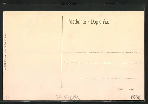 AK Friedland /Ostr., Friedrichsstift mit Fernsicht