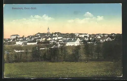 AK Bennisch /Oest.-Schl., Panorama