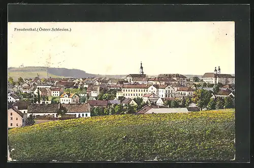 AK Freudenthal, Totalansicht vom Ort mit Kirche