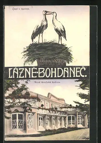 AK Bad Bochdanetsch / Lazne Bohdanec, Nová lázenská budova, Störche im Horst