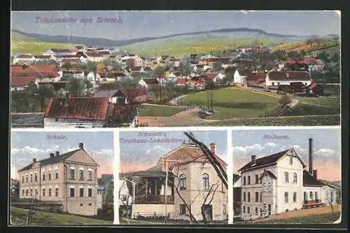 AK Briesen, Gasthaus Schwalb, Molkerie, Schule