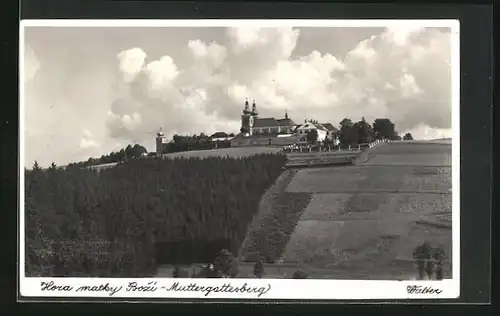 AK Grulich, Panoramablick zum Muttergottesberg