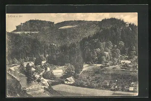 AK Litice nad Orlici, Ort und bewaldete Hügel