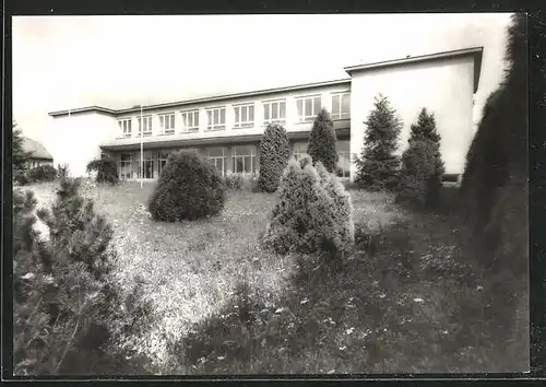 AK Kuncina, Zakladni devitileta skola