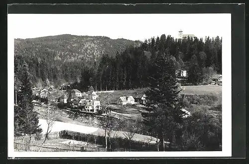 AK Litice n. Orl., Ortsansicht, Kirche auf Berg