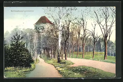 AK Landskron i. B., Schlossberg mit Birkenallee