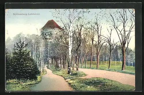 AK Landskron i. B., Birkenallee am Schlossberg