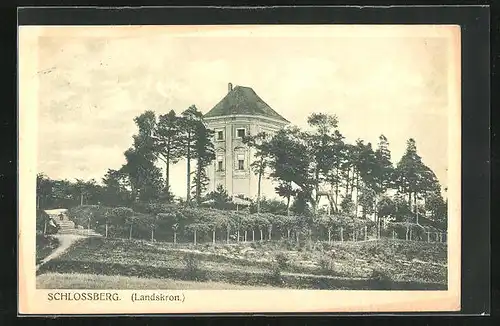 AK Landskron i. B., Treppen in dem Bäumen auf dem Schlossberg