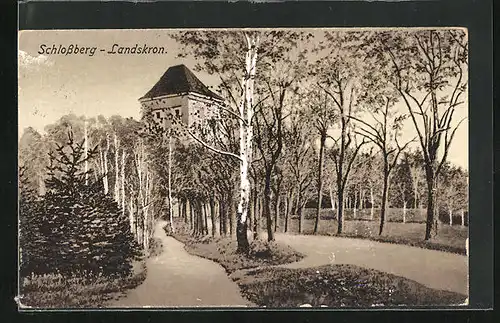 AK Landskron i. B., Allee zum Schlossberg