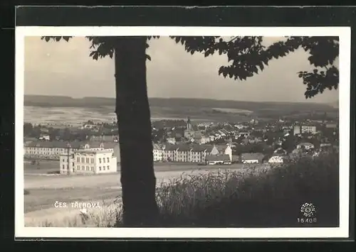 AK Ceská Trebová, Baum vor Ortschaft in der Ferne