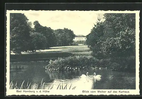 AK Bad Homburg v. d. Höhe, Blick vom Weiher auf das Kurhaus mit Schwänen