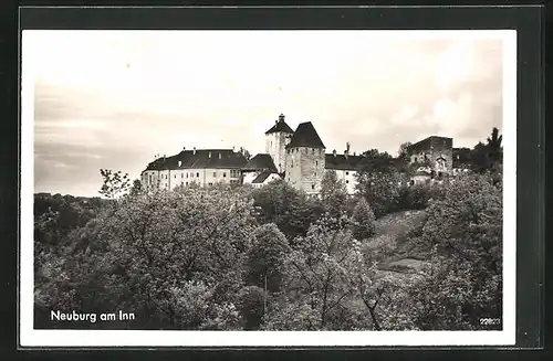 AK Neuburg am Inn, Blick zur Burg