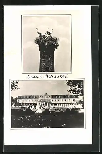 AK Bad Bochdanetsch / Lazne Bohdanec, Lazensky Palac, Storchennest