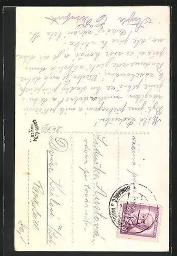 AK Bad Bochdanetsch / Lazne Bohdanec, Jubilejni Palac, Lazensky Palac