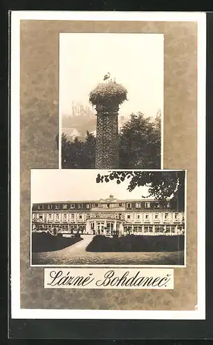 AK Bad Bochdanetsch / Lazne Bohdanec, Lazensky Palac, Storchennest