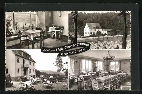 AK Hann.-Münden, Gasthaus und Pension Hainbuchenbrunnen, Innenansicht, Garten