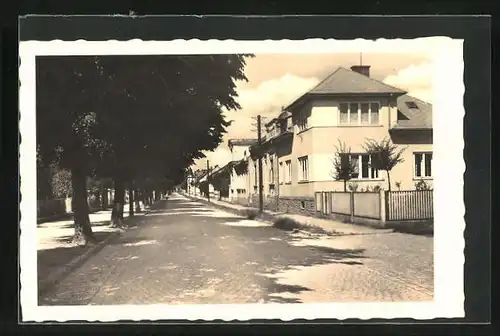 AK Bistritz /Hostein, Strassenpartie mit Wohnhäusern