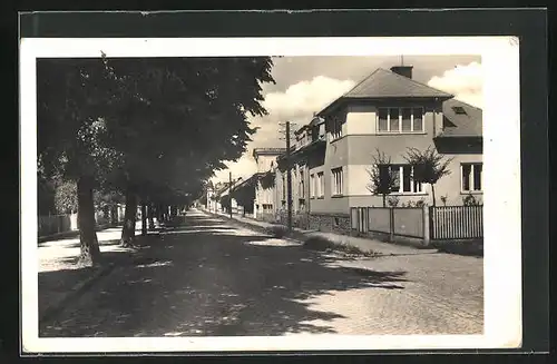 AK Bistritz /Hostein, Strassenpartie mit Wohnhäusern